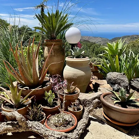 Guest house Forest Hideout