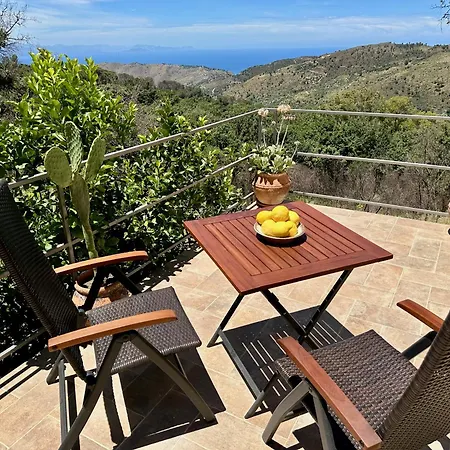 Forest Hideout Guest house