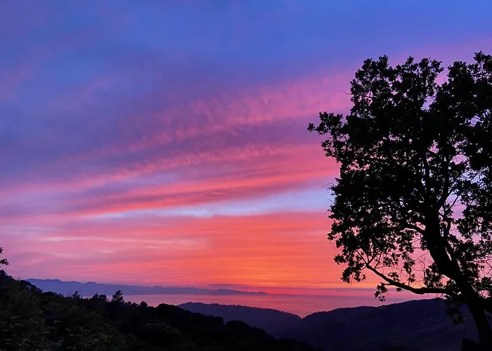 Forest Hideout Чефалу