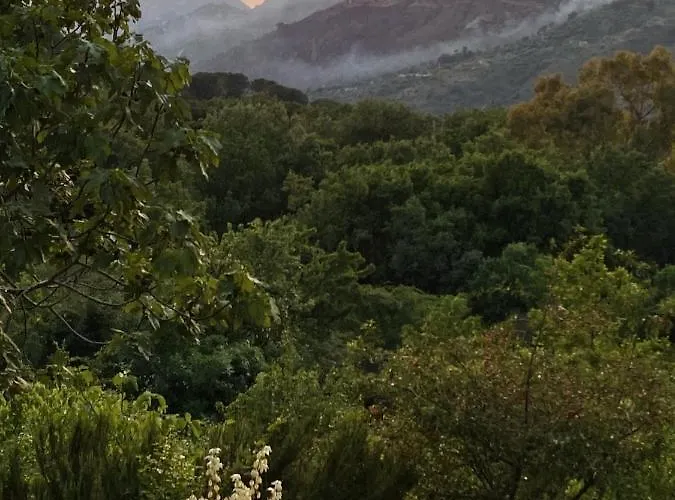 Forest Hideout Гостевой дом 4*