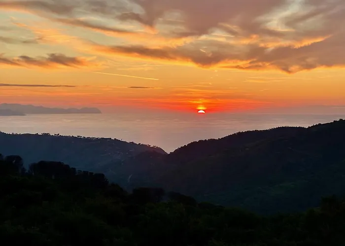 Гостевой дом Forest Hideout 4*