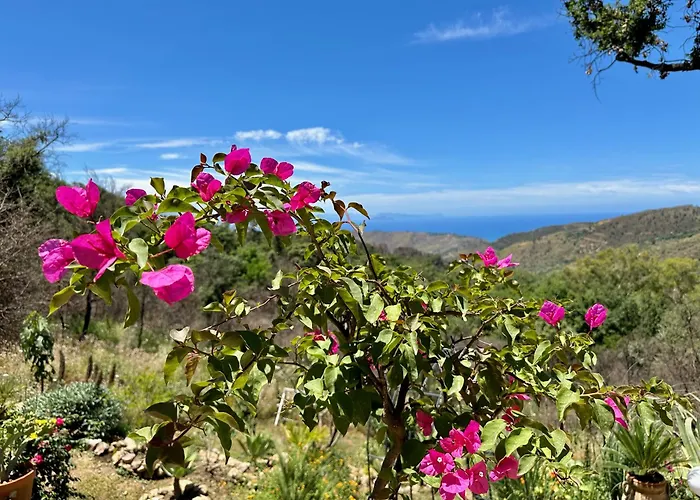 Forest Hideout Гостевой дом Чефалу