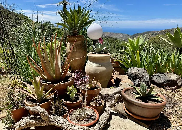 Гостевой дом Forest Hideout