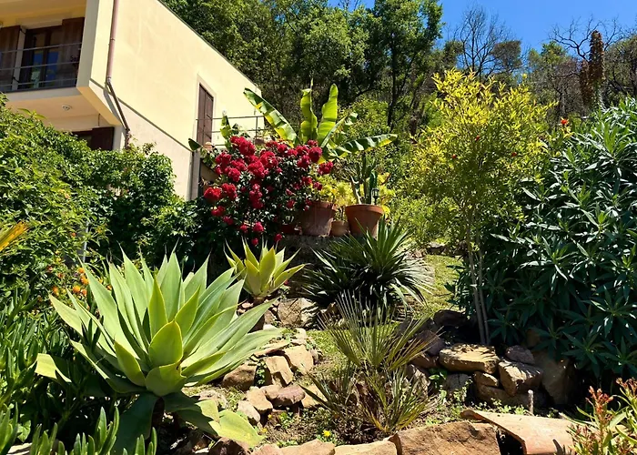 Гостевой дом Forest Hideout 4*