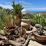Affittacamere Forest Hideout