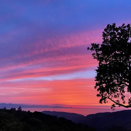 Forest Hideout Cefalù