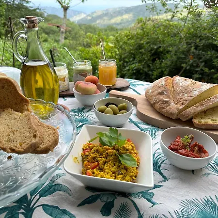 Forest Hideout Maison d'hôtes Cefalù