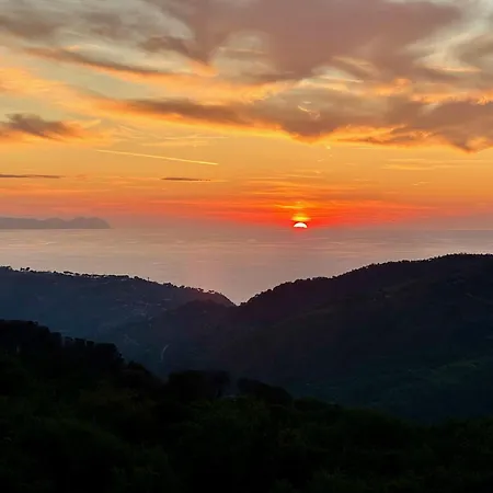 בית הארחה Forest Hideout 3*