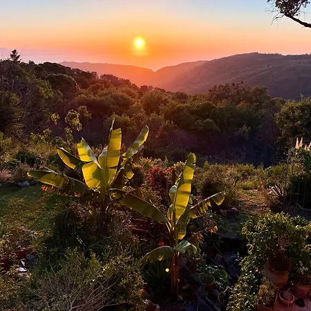 Forest Hideout Cefalù