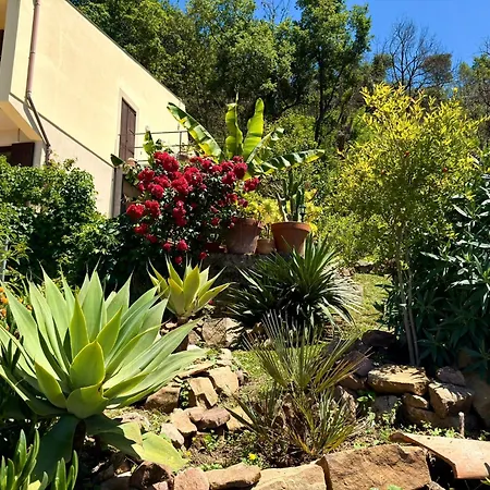 게스트하우스 Forest Hideout 4*