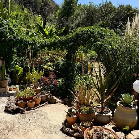 Forest Hideout 3* Cefalu