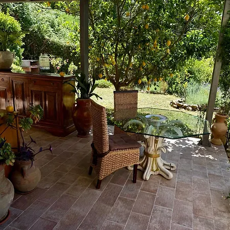 בית הארחה Forest Hideout