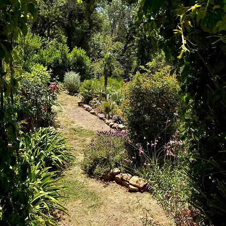 Forest Hideout