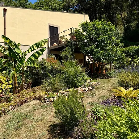 Forest Hideout Guest house Cefalu