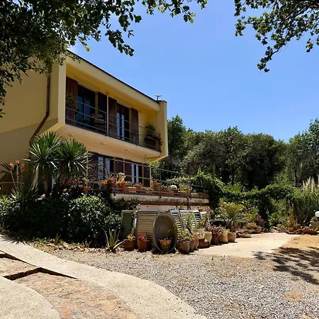 Forest Hideout Cefalu