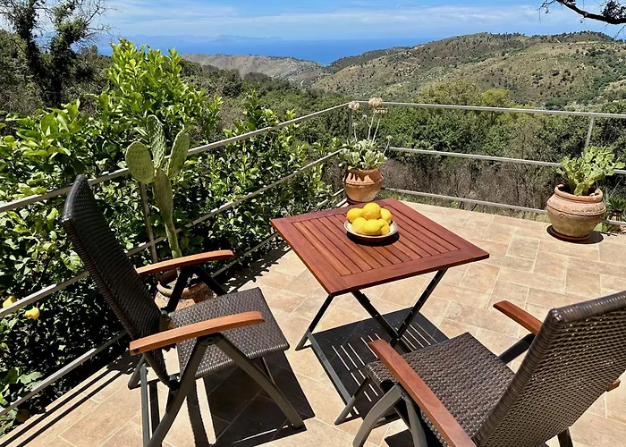 Forest Hideout Maison d'hôtes