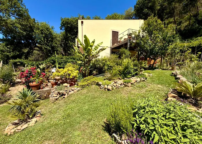 Maison d'hôtes Forest Hideout